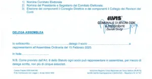 Assemblea annuale soci 2025 - AVIS Comunale Broni - Immagine: 4