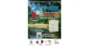 9° CamminAVIS - AVIS Stradella - Immagine: 4