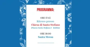 28° Festa del Donatore - AVIS Robbio - Immagine: 2