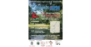 8° CamminAVIS - AVIS Stradella - Immagine: 3