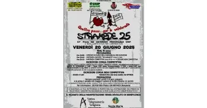 Stramede 2025 - AVIS Mede - Immagine: 3