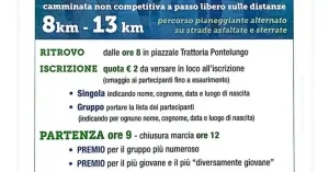 1° Camminata Memorial William Gaiaschi - AVIS Vidigulfo - Immagine: 2