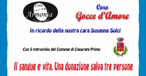 Note in Armonia - AVIS Casorate Primo - Immagine: 2