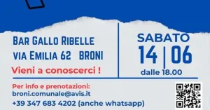 AperiAvis - AVIS Comunale Broni 2025 - Immagine: 2