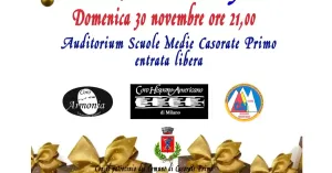 Note in armonia - Aspettando il Natale 2025 | AVIS Casorate Primo - Immagine: 2