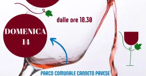 43ma rassegna dei vini a Canneto Pavese - Immagine: 3