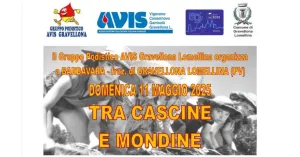 Tra cascine e mondine - AVIS Vigevano - Immagine: 1