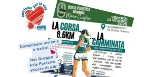 Corsa podistica - Memorial Mario Guiglia | AVIS Palestro - Immagine: 1