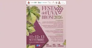 Festa dell'uva 2026 - Broni - Immagine: 4
