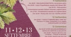 Festa dell'uva 2026 - Broni - Immagine: 2