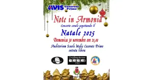 Note in armonia - Aspettando il Natale 2025 | AVIS Casorate Primo - Immagine: 3