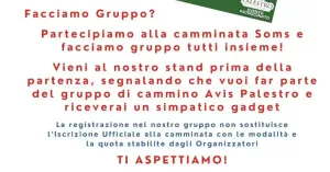 Corsa podistica - Memorial Mario Guiglia | AVIS Palestro - Immagine: 2