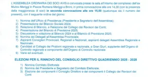 Assemblea annuale soci 2025 - AVIS Comunale Broni - Immagine: 3
