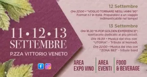 Festa dell'uva 2026 - Broni - Immagine: 3