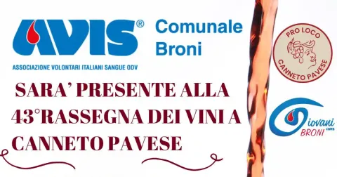 43ma rassegna dei vini a Canneto Pavese