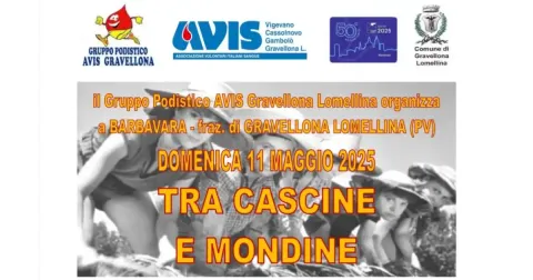 Tra cascine e mondine - AVIS Vigevano